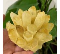 QMKADFQXF Stone Citrine Phantom Quartz Crystal Cluster (350-400g) Cristal Naturel Brut