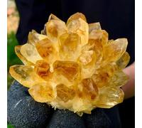 QMKADFQXF Stone Yellow Phantom Quartz Crystal Cluster (200-250g) Cristal Naturel Brut