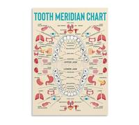 QMKADFQXF Tooth Organ Connection Chart Metal Sign Meridian Reference Traditional Chinese Medicine Educational Wall-Art for Acupuncture Clinic Classroom (8 X 12 in)