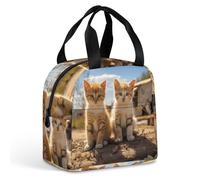 QMKFWT Grand sac à déjeuner isotherme durable avec deux petits chats - Boîte à déjeuner portable étanche - Réutilisable - Pour le travail, les voyages, les pique-niques