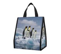 QMKFWT Sac à déjeuner isotherme Penguins On The Iceberg pliable et réutilisable pour homme et femme