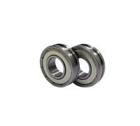 QMLQRGKF Roulement à Rouleaux à Basse Pression pour Fusion, AE03-0018 AE030018, Compatible avec 1055 1060 1075 550 551 650 700 6002 7502 9001 9002(20 PCS)