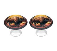 QMNBTES American Bison Lot de 2 boutons de placard vintage en acier inoxydable pour commode, tiroir de salle de bain, porte de placard