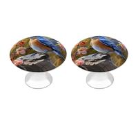 QMNBTES Bluebird Lot de 2 boutons de placard vintage en acier inoxydable pour commode, tiroir, salle de bain, porte de placard