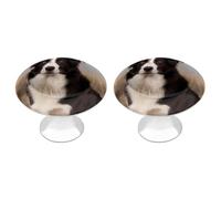 QMNBTES Border Collie Lot de 2 boutons de placard vintage en acier inoxydable pour commode, tiroir, salle de bain, porte de placard