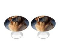 QMNBTES Golden Retriever Lot de 2 boutons de placard vintage en acier inoxydable pour commode, tiroir, salle de bain, porte de placard, porte à deux volets