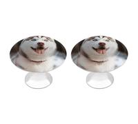 QMNBTES Husky Piquant Dog Lot de 2 boutons d'armoire de cuisine vintage en acier inoxydable pour commode, tiroir, salle de bain, porte de placard
