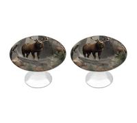 QMNBTES Lot de 2 boutons d'armoire vintage en acier inoxydable pour commode, tiroir, salle de bain, porte de placard, porte à deux volets