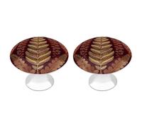 QMNBTES Lot de 2 boutons de placard vintage en acier inoxydable à motif marron doré pour commode, tiroir, porte de placard de salle de bain, porte pliante