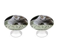 QMNBTES Lot de 2 boutons de placard vintage en acier inoxydable avec motif chat sur moquette pour commode, tiroir, porte de placard de salle de bain, porte pliante