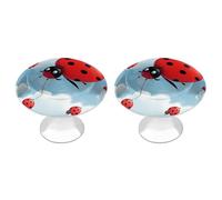 QMNBTES Lot de 2 boutons de placard vintage en acier inoxydable avec motif coccinelle et nuage pour commode, tiroir, salle de bain, porte de placard