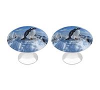 QMNBTES Lot de 2 boutons de placard vintage en acier inoxydable motif pingouin Snow Mountain - Pour commode, tiroir, salle de bain, porte de placard