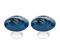 QMNBTES Lot de 2 boutons de placard vintage en acier inoxydable pour commode, tiroir, salle de bain, porte pliante