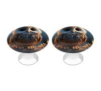 QMNBTES Lot de 2 boutons de placard vintage en acier inoxydable pour commode, tiroir, salle de bain, porte de placard