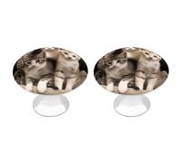 QMNBTES Lot de 2 boutons de placard vintage en acier inoxydable pour commode, tiroir, salle de bain, porte pliante
