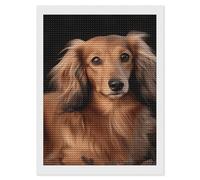 QMNRTK Kit de peinture diamant 5D à poils longs teckel pour adultes, kit d'art diamant à faire soi-même pour débutants, kit de peinture à points de diamant ronds pour décoration murale d'intérieur