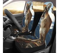 QMNSEHF Panther Mountain Lion Lot de 2 housses de siège avant universelles pour voitures, berlines, camions, SUV
