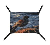 QMNVBDS Bird by Stone Hamac pour chat, furet, cochon d'Inde, rat, lit pour chat, chinchilla, hamster, hamac pour chat, fournitures pour animaux domestiques