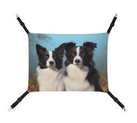 QMNVBDS Hamac Border Collie Hamac pour chat, furet, cochon d'Inde, rat, lit pour chat, chinchilla Hamster Hamac pour chat Hamac pour cage Fournitures pour chat Hamac pour animal domestique