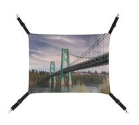 QMNVBDS St Johns Bridge Hamac pour chat, furet, cochon d'Inde, rat, lit pour chat, chinchilla Hamac Hamac Hamac pour chat Hamster Hamac pour chat Fournitures pour chat Hamac pour animal domestique