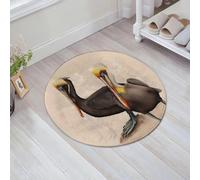 QNRWPHM Tapis de Bain Antiderapant en Microfibre Douce,Tapis de Salle de Bain Lavable en Machine,Deux pélicans Bruns matures parallèles l'un à l'autre sur des pilotis dépassant,60x60cm