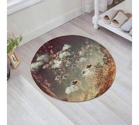 QNRWPHM Tapis de Bain Antiderapant en Microfibre Douce,Tapis de Salle de Bain Lavable en Machine,Objets Volants dans Un Ciel Nuageux OVNIs Extraterrestres Thème de Science-fict,60x60cm