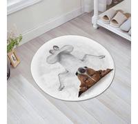 QNRWPHM Tapis de Bain Antiderapant en Microfibre Douce,Tapis de Salle de Bain Lavable en Machine,Yoga Animal, Chien drôle à l'envers se Relaxant avec Les Yeux fermés et Faisant,60x60cm