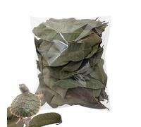 qokeeu Lot de 50 feuilles de reptiles - Naturellement sèches - Accessoires pour animaux de compagnie - Feuilles de litière, pour geckos, grenouilles, poissons, serpents, maison, intérieur, extérieur