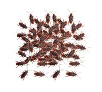 QOKLIYUI Jouet cafard factice Amusant, pour Une fête d'enfants Une Farce d'halloween. Ce Lot de 100 Faux cafards imite Parfaitement l'apparence de Vrais cafards. , Brun , L