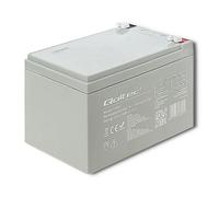 Qoltec 53045 agm battery 12v 14ah max. 210a