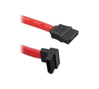 Qoltec Câble SATA SATA pour SATA 50 cm connecteur à angle droit plat rouge