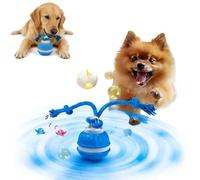 Qosigote Twinkle Paw Motion Ball, 2026 New Electric Rolling Pet Toy Ball, Chase Buddy Dog Toy, Interactive Dog Toys Balls, with Bird Sounds, USB Rechargeable, for Puppy/Small/Medium Dogs (B)