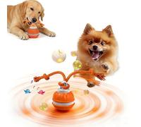 Qosigote Twinkle Paw Motion Ball, 2026 New Electric Rolling Pet Toy Ball, Chase Buddy Dog Toy, Interactive Dog Toys Balls, with Bird Sounds, USB Rechargeable, for Puppy/Small/Medium Dogs (A)