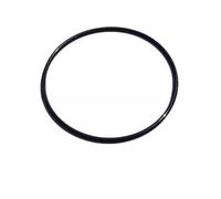 QOXEZY Joint d'étanchéité O-for pour systèmes de filtre à sable Steinbach & Speed Clean - Compatible avec les modèles SPS25 à SPS100, diamètre intérieur de 77 mm, matériau ABS noir (1 pièce)