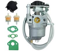 QOXEZY - Kit de remplacement de carburateur compatible avec joint métallique pour équipement d'alimentation extérieur RYI2300BT / RYI2300BTA - Convient aux carburateurs 308054124 & 308054123