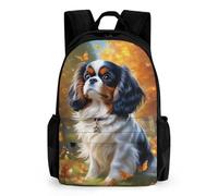 QPIRINMEX Cavalier King Charles Sac À Dos Pour Enfants Filles Garçons, Sac À Dos, Sac À Dos, École Primaire, Parfait Pour La Rentrée Scolaire Ou Pe, Les Cadeaux Et Les Voyages 17pouce