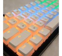 QPSJXN Cyrillic Russian Double Shot Keycap Set pour Les claviers mécaniques 117 ISO Layout Keycaps(Russian White)