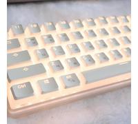 QPSJXN Keycap de Pudding PBT de Mise en Page coréen Jeu pour Les claviers mécaniques compatibles avec Les Touches de Jeu de Profil OEM de commutateur MX Switch OEM(Korean White)