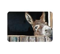 QQLADY Funny Donkey Paillasson antidérapant pour entrée, 40,6 x 61 cm, tapis de sol pour porche, buanderie, salle de bain, chambre à coucher