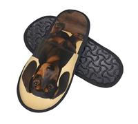 QQLADY Un joli chaussons en peluche pour homme et femme - Motif teckel - Pantoufles d'intérieur décontractées - Taille M, Noir , Large