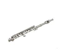 Qqmora Instrument de Musique Professionnel Détachable plaqué Argent C Piccolo avec Ensemble D'outils de Nettoyage de Boîte en Cuir PU pour Musiciens étudiants Artistes de Groupe (Argent)