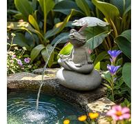 QQNQQ Cracheur d'étang, cracheur Animal Grenouille, Statue de d'eau en résine avec Pompe à Eau, caractéristique extérieure, décoration Jardin for étang carpes koï, for, Petit Aquatique