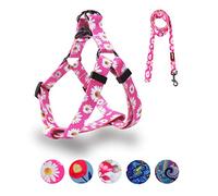 QQPETS Ensemble Harnais et Laisse réglables et Robustes pour Chiens de Taille S, M et L avec Clip Dorsal Anti-Torsion, pour la Promenade, S, Tour de Poitrine 35,5-51 cm, Motif Marguerite