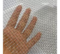 QQXY Treillis Metallique,Grillage INOX 8 Mesh Multifonction Tissu De Treillis Métallique pour Les Armoires De Protection en Métal avec Écran De Jardin (Size : 1x10m)