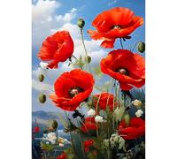 QQYRHN 5D DIY Fleurs de Coquelicot Kits de Peinture Diamant, Complète Fleurs Diamond Painting pour Adulte Débutants, Paysage Art du Diamant, Décoration Murale Maison Peinture au Diamant Avec 30x40cm