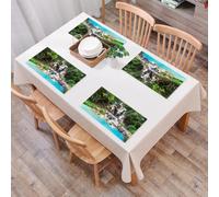 QRFASFZO Sets de Table Lavable, Lot de 6 Sets de Table Plastique PVC, Résistant à la Chaleur, Antidérapant,Luang Prabang est Une Ville du Patrimoine Mondial du Laos.,45x30cm