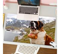 QRFASFZO Tapis de Souris Gaming - 30x80 cm - Tapis de Souris Esports - Ne Glisse jamais - Couverture complète du Bureau - Le Chien et Les Montagnes sont Tous Deux de Beaux Cadeaux Que Dieu Nous a Off