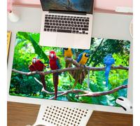 QRFASFZO Tapis de Souris Gaming - 30x80 cm - Tapis de Souris Esports - Ne Glisse jamais - Couverture complète du Bureau - Grands perroquets tropicaux américains Quelques aras en Rouge Jaune Bleu se t