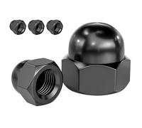 Qrity 5 Pièces Écrou Hexagonal Borgne, M10 Écrous Borgnes en Acier Carbone, Ecrous Capuchons de Protection, pour Vis, Boulons Filetés
