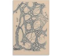 QSDTGHUIKP Neuron Dessin De Santiago Ramón Y Cajal Toile Art Mural Peinture Rétro Santiago Ramón Y Cajal Affiche et Impression Pour La Maison Décoration Murale 50x70cm Sans Cadre